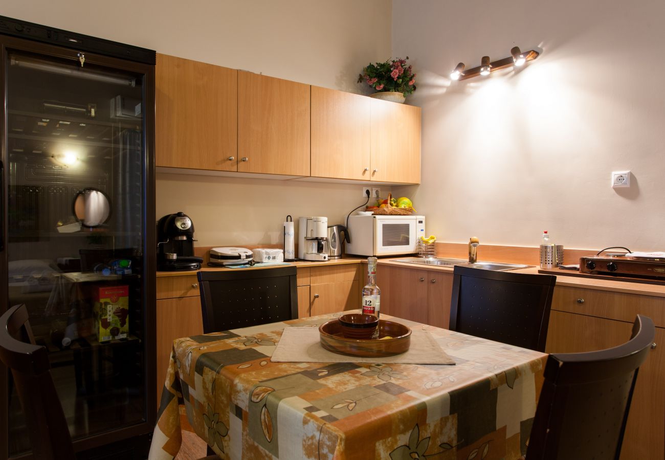 Appartement à Athens - Psyri Neoclassical House w/Yard 