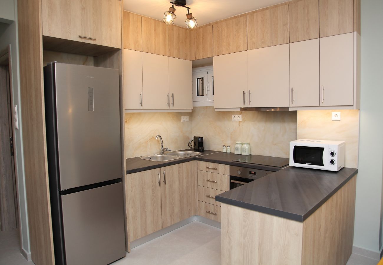 Appartement à Athens - Ariadni's Athenian Apartment