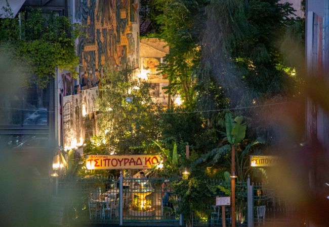 Apartment in Athens - 85 sqm  in the Heart of Athens w/Rooftop Deck Apartment in Athens - 85 sqm  in the Heart of Athens w/Rooftop Deck