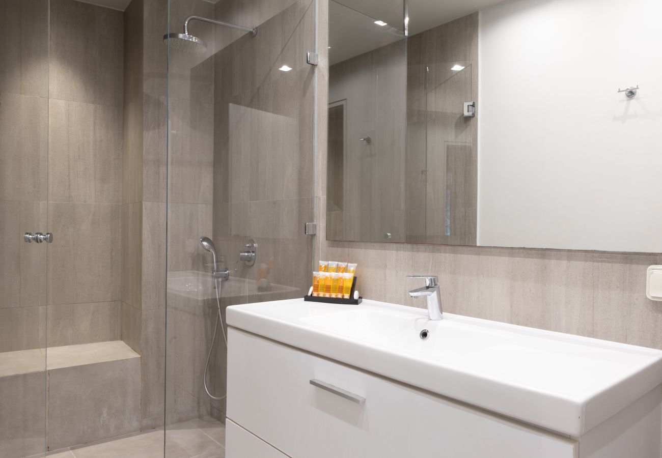 Apartment in Athens - 85 sqm  in the Heart of Athens w/Rooftop Deck
