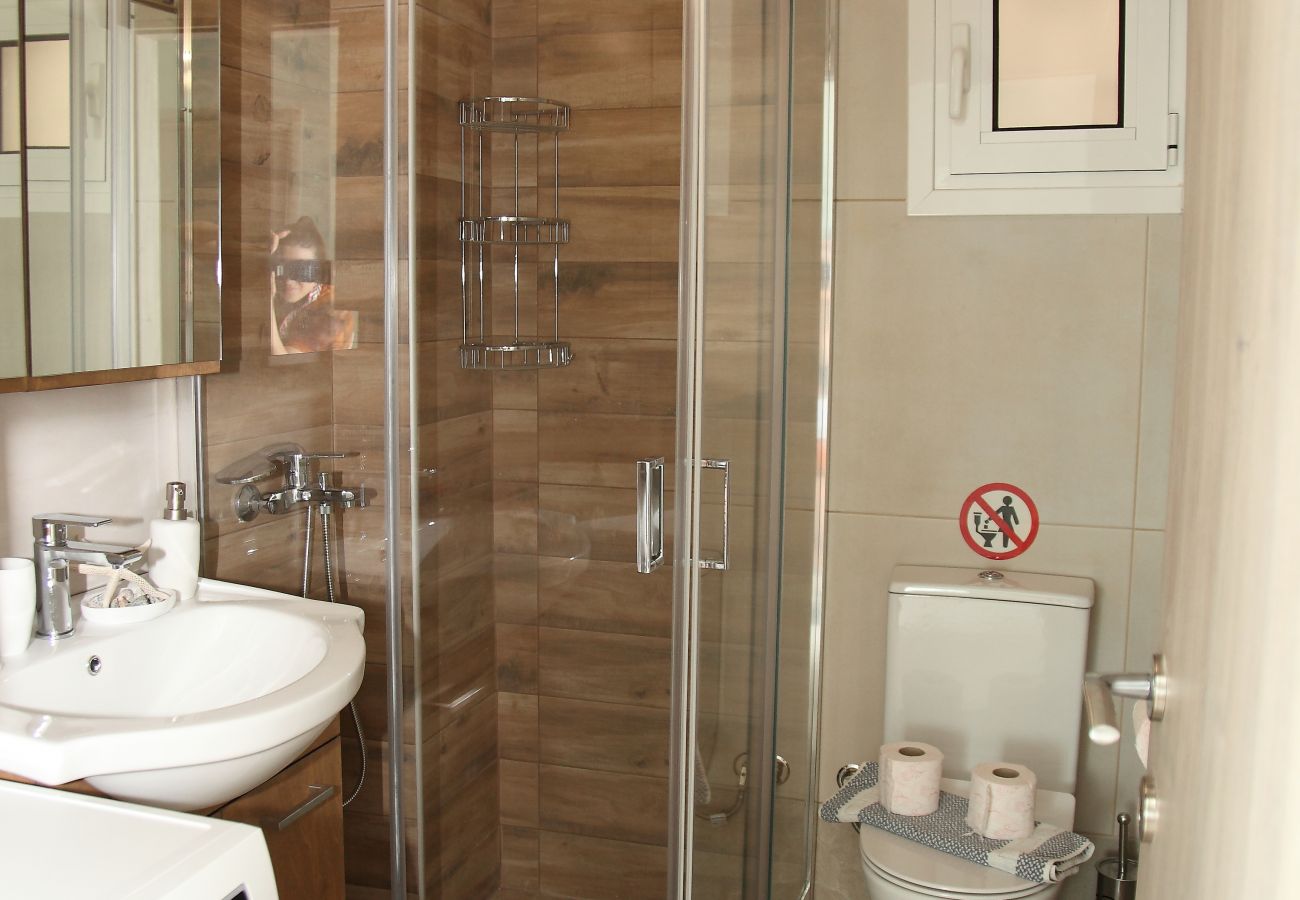 Apartment in Athens - Ariadni's Athenian Apartment